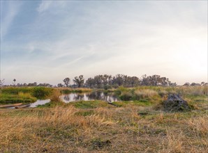 Adventure boat trip in a traditional Makoro at the Okavango Delta, Botswana, Africa