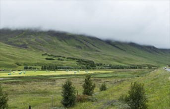 Icelandic scenery in the northern part of the country at a cloudy day