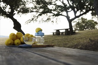 Lemon squeezed with a hand juicer on a wooden table in the field with a pile of lemons and trees in