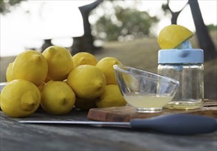 Lemon squeezed with a hand juicer on a wooden table in the field with a pile of lemons and trees in