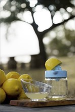 Lemon squeezed with a hand juicer on a wooden table in the field with a pile of lemons and trees in