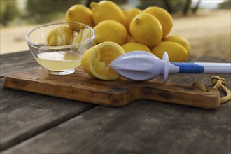 Lemon squeezed with a hand juicer on a wooden table in the field with a pile of lemons and trees in