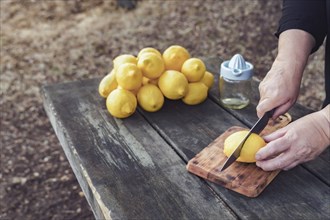 A woman cuts fresh lemons with a knife on a wooden table in the field with a pile of lemons and a