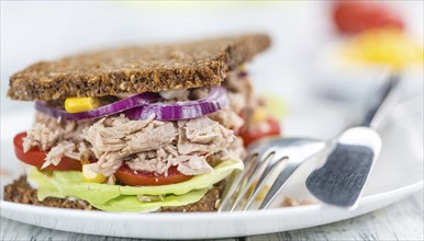 Tuna sandwich with wholemeal bread (selective focus, close-up shot)