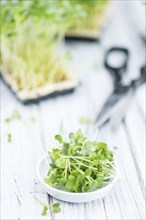 Cutted Cress on a vintage background as detailed close-up shot (selective focus)