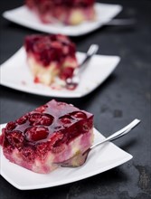 Fresh homemade Raspberry Cake (selective focus, close-up shot)