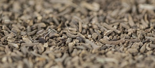 Dried Valerian roots as background image or as texture (close-up shot)