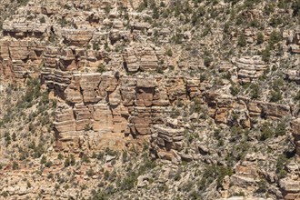 Grand Canyon in Arizona, USA, North America