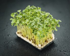 Some fresh Cress on a vintage slate slab (selective focus, close-up shot)