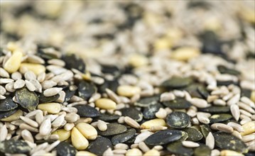 Portion of mixed Seeds (selective focus) for use as background image or as texture