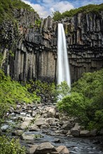 Svartifoss waterfall surrounded by dark basalt columns in Iceland