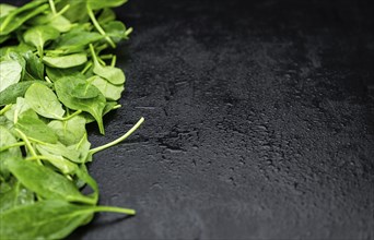 Portion of fresh Spinach as detailed close-up shot (selective focus)