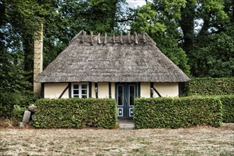 Traditional house with thatched roof near Rynkeby Denmark