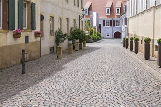 Alley with cobblestones in Deidesheim, Palatinate, Rhineland-Palatinate, Germany, Europe