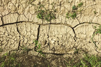 Closeup of dried crack mud representing global warming and climate change