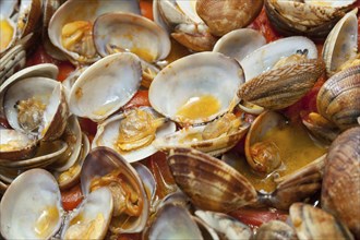 Clams in marinara sauce with tomatoes and oil