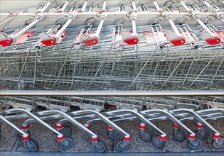 Rows of shopping carts at the entrance of supermarket