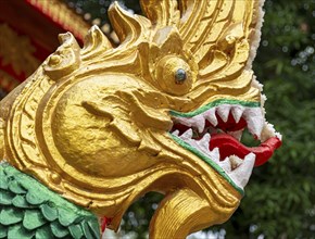 Naga head, Wat Si Muang, Vientiane, Laos, Asia