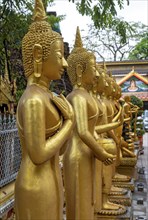 Buddha statues, Wat Si Muang, Vientiane, Laos, Asia