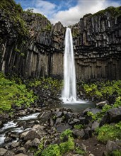 Svartifoss waterfall surrounded by dark basalt columns in Iceland