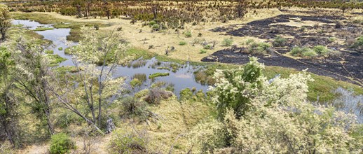 Helicopter Safari at the Okavango Delta, Botswana during a nice and sunny day