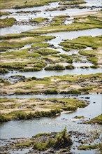 Olifants River (Limpopo) at Kruger National Park, South Africa, Africa