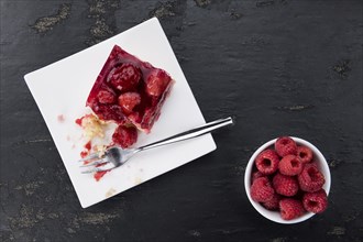 Fresh homemade Raspberry Cake (selective focus, close-up shot)