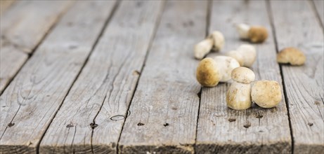 Fresh Porcinis on an old wooden table (close-up shot, selective focus)