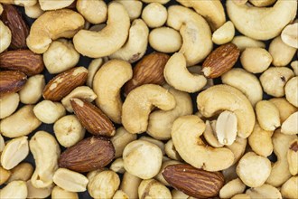 Roasted and salted nuts for use as background image or as texture (close up shot)