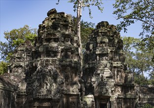 The famous Ta Prohm temple in Angkor Wat, Cambodia, Asia