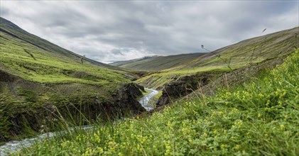 Icelandic scenery in the northern part of the country at a cloudy day