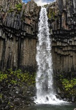 Svartifoss waterfall surrounded by dark basalt columns in Iceland