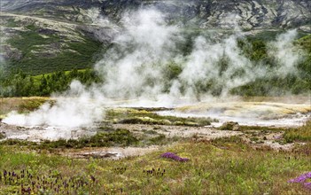 Hot springs in Haukadalur geothermal area along the golden circle, western Iceland