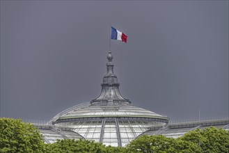 The French national flag, tricolour, on the Grand Palais, Paris, ÃŽle-de-France, France, Europe