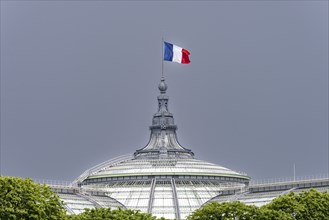 The French national flag, tricolour, on the Grand Palais, Paris, ÃŽle-de-France, France, Europe