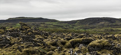 Lava Fields near Grabrok Crater in the western region of Iceland