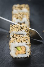 Some fresh made Sushi (detailed close-up shot, selective focus)