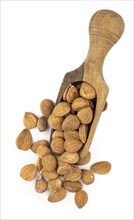 Portion of Apricot Kernels isolated on white background as detailed close up shot (selective focus)