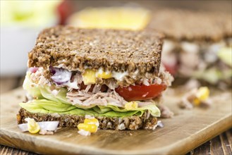 Fresh made Tuna sandwich with wholemeal bread (selective focus, close-up shot)