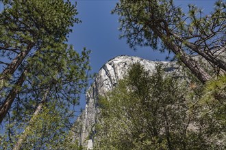 El Capitan in Yosemite National Park, California, USA, North America