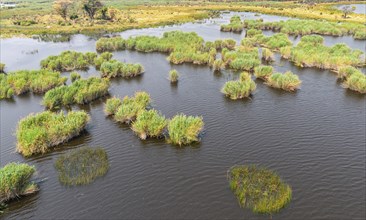 Helicopter Safari at the Okavango Delta, Botswana during a nice and sunny day