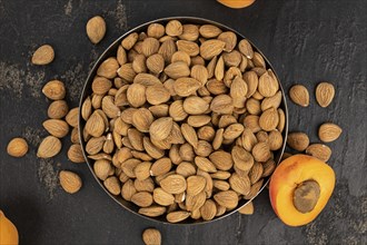 Portion of shelled Apricot Kernels (close up shot, selective focus)