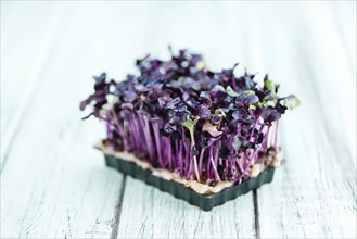 Portion of fresh Cress (close-up shot, selective focus)