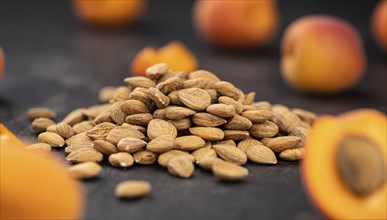 Portion of shelled Apricot Kernels (close up shot, selective focus)