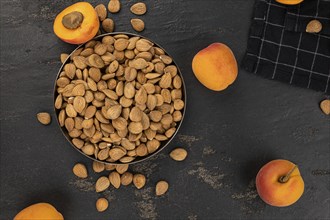 Some shelled Apricot Kernels as detailed close up shot (selective focus)