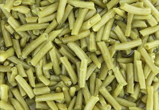 Fresh made preserved Green Beans for use as background or texture (close-up shot)