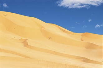 Jeep safari in the beautiful Omani Rub al-Chali Desert