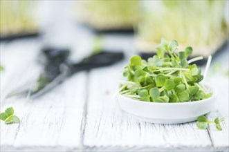 Portion of fresh Cutted Cress (close-up shot, selective focus)