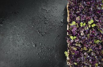 Cress on a vintage slate slab (close-up shot, selective focus)