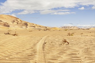 Offroad Jeep safari in the beautiful Omani Rub al-Chali Desert